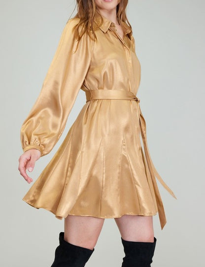 SHINY GOLD LONG SLEEVE GORE SKIRT MINI DRESS