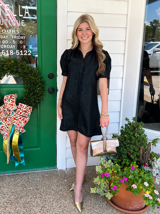 BLACK SNAKE SUEDE BUTTON UP MINI DRESS